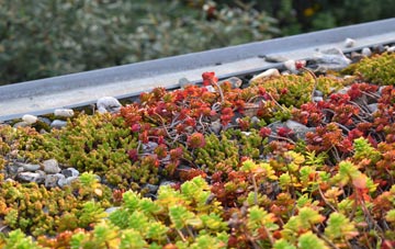 the cost of Armadale green roof installation