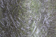 Armadale fibreglass roof work